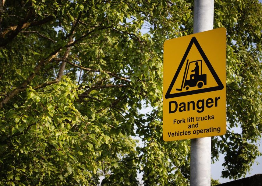 Tree Service Warning Signs in Ocala