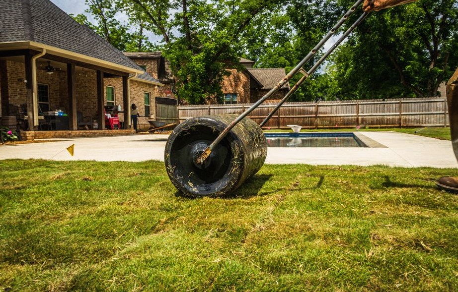 Tree Services in Ocala
